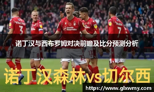 诺丁汉与西布罗姆对决前瞻及比分预测分析
